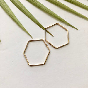 Hexagon Hoop Earrings - W5