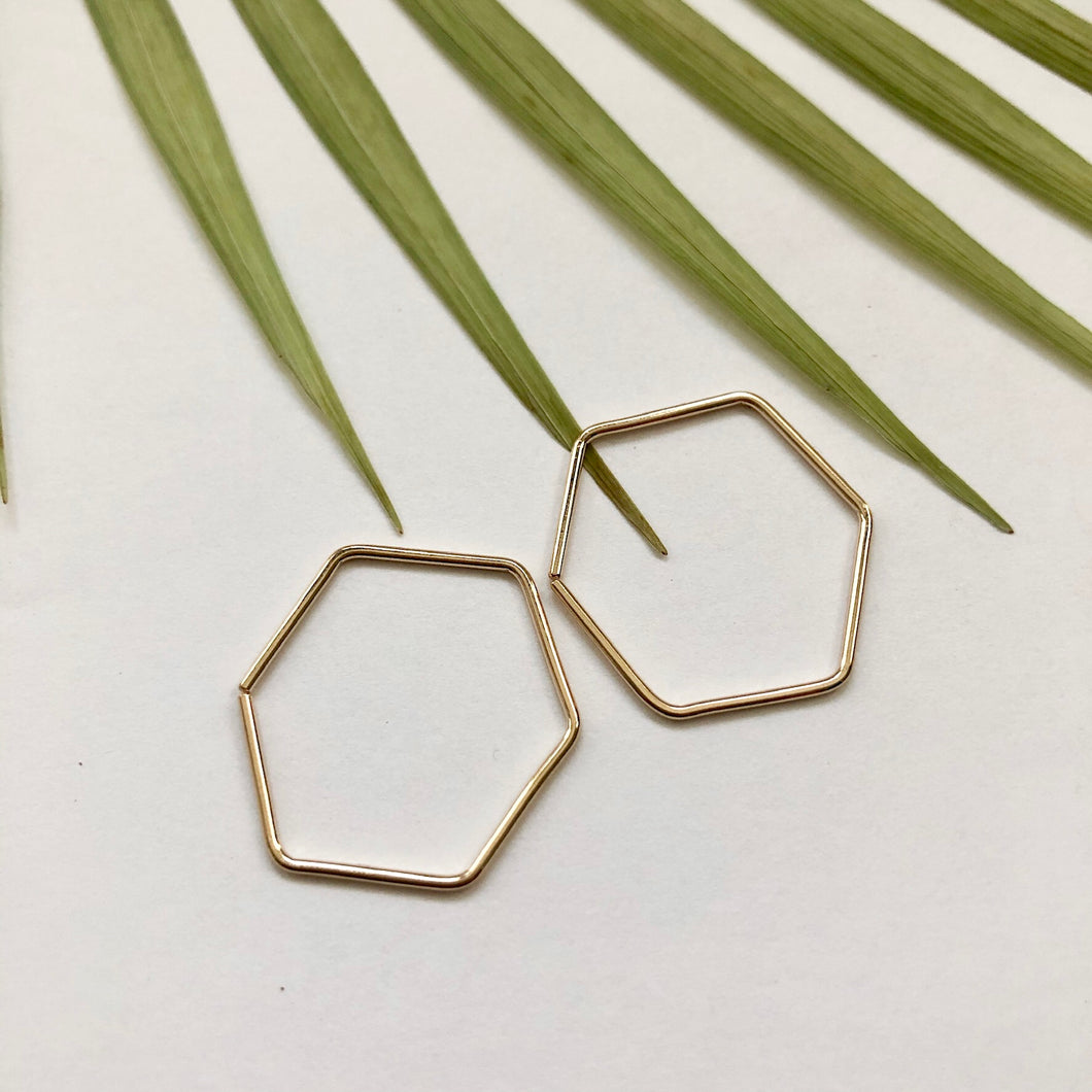 Hexagon Hoop Earrings - W5